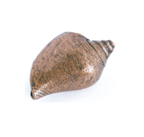 Emenee OR427 Voluntidae Conch Cabinet Knob in Antique Matte Copper (ACO)