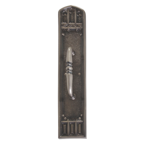 Brass Accents Renaissance Oxford Pull Plate 