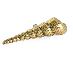 Emenee OR419 Small Turritella Cabinet Pull in Antique Bright Gold (ABG)